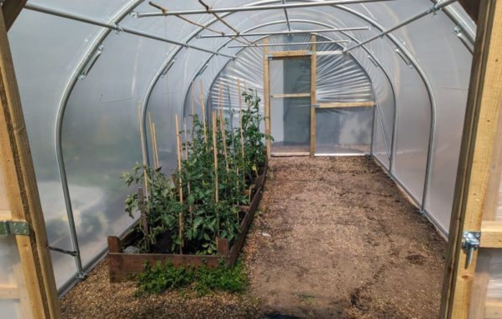 Polytunnel 3